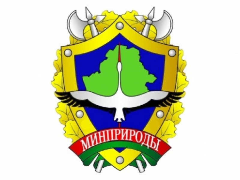 Борисовская районная инспекция природных ресурсов и охраны окружающей среды