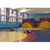 Государственное учебно-спортивное учреждение «Борисовская специализированная детско-юношеская школа олимпийского резерва»